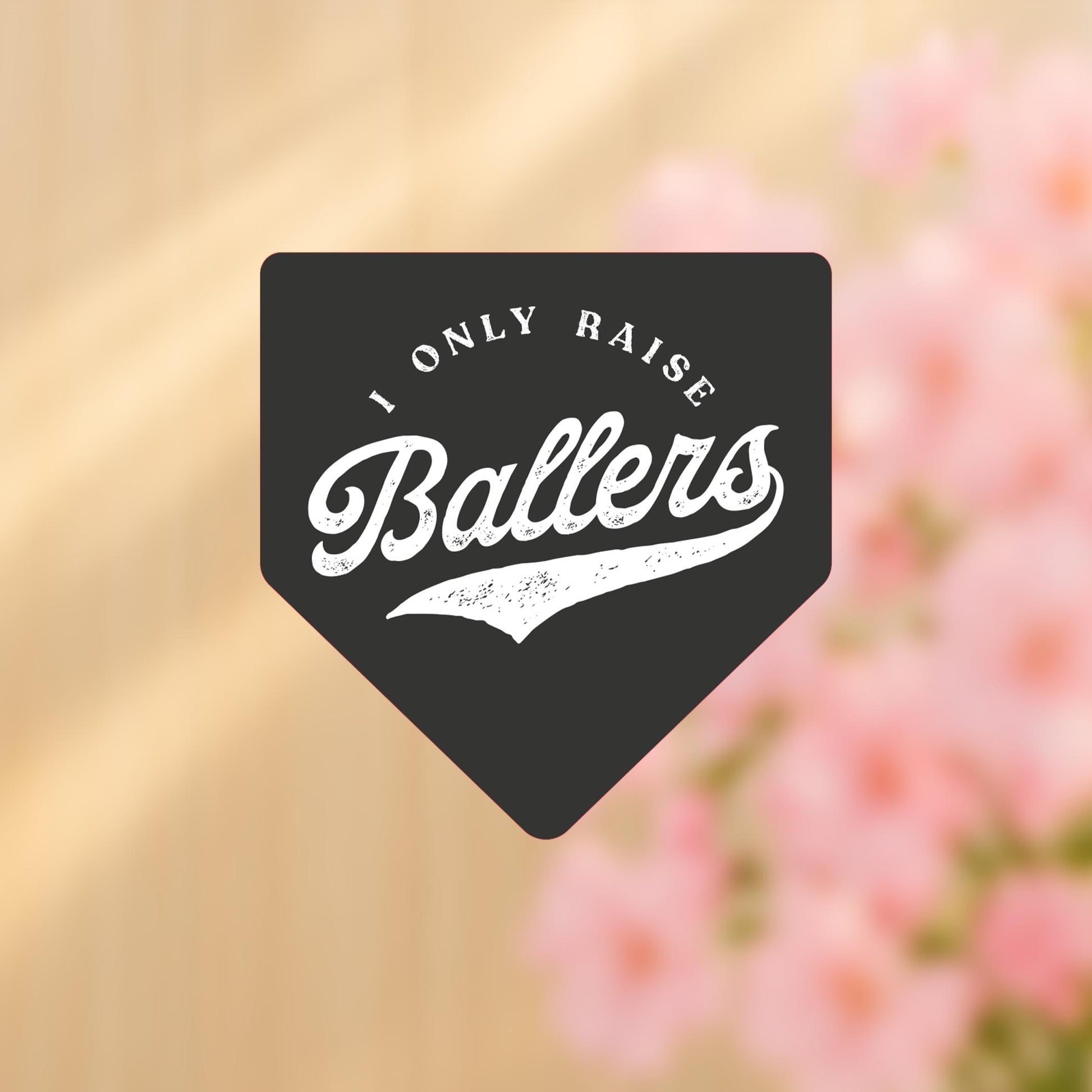 Vinyl Sticker-Little League I Only Raise Ballers -4