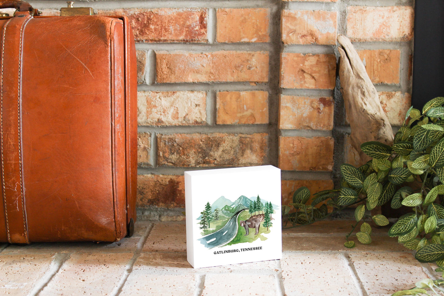 Clairmont & Co Local Mountain | 5x5
