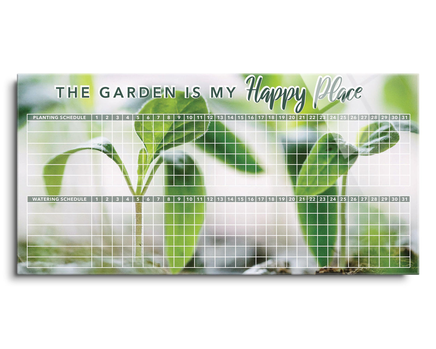 Green Seedlings Planting and Watering Schedule | 24x12
