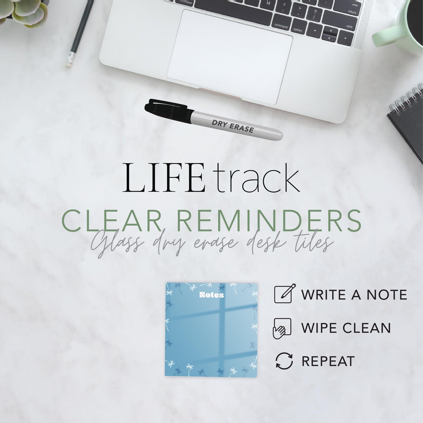 Coastal Blue Palm Trees Notes | 4x4