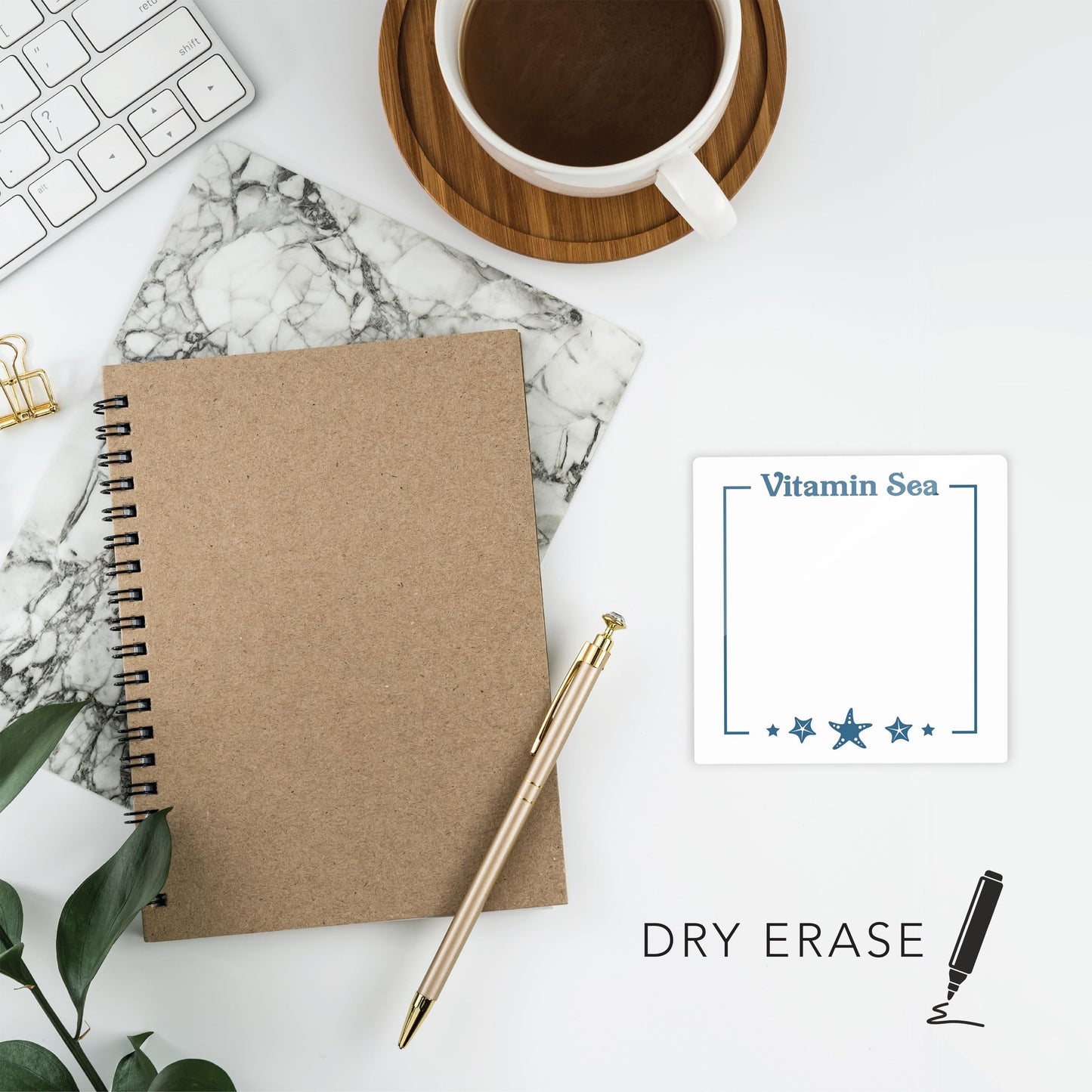 Coastal Vitamin Sea Notes | 4x4