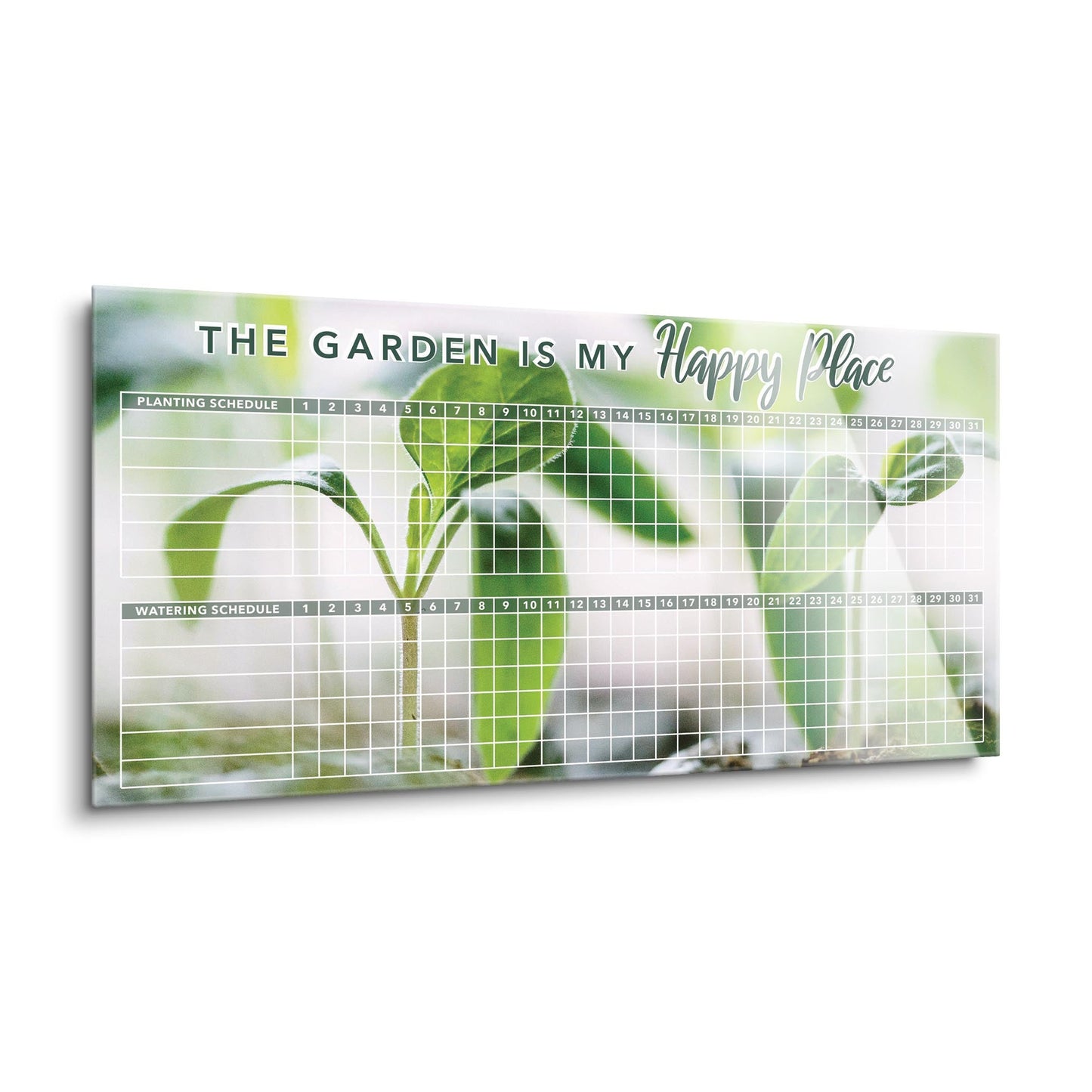 Green Seedlings Planting and Watering Schedule | 24x12
