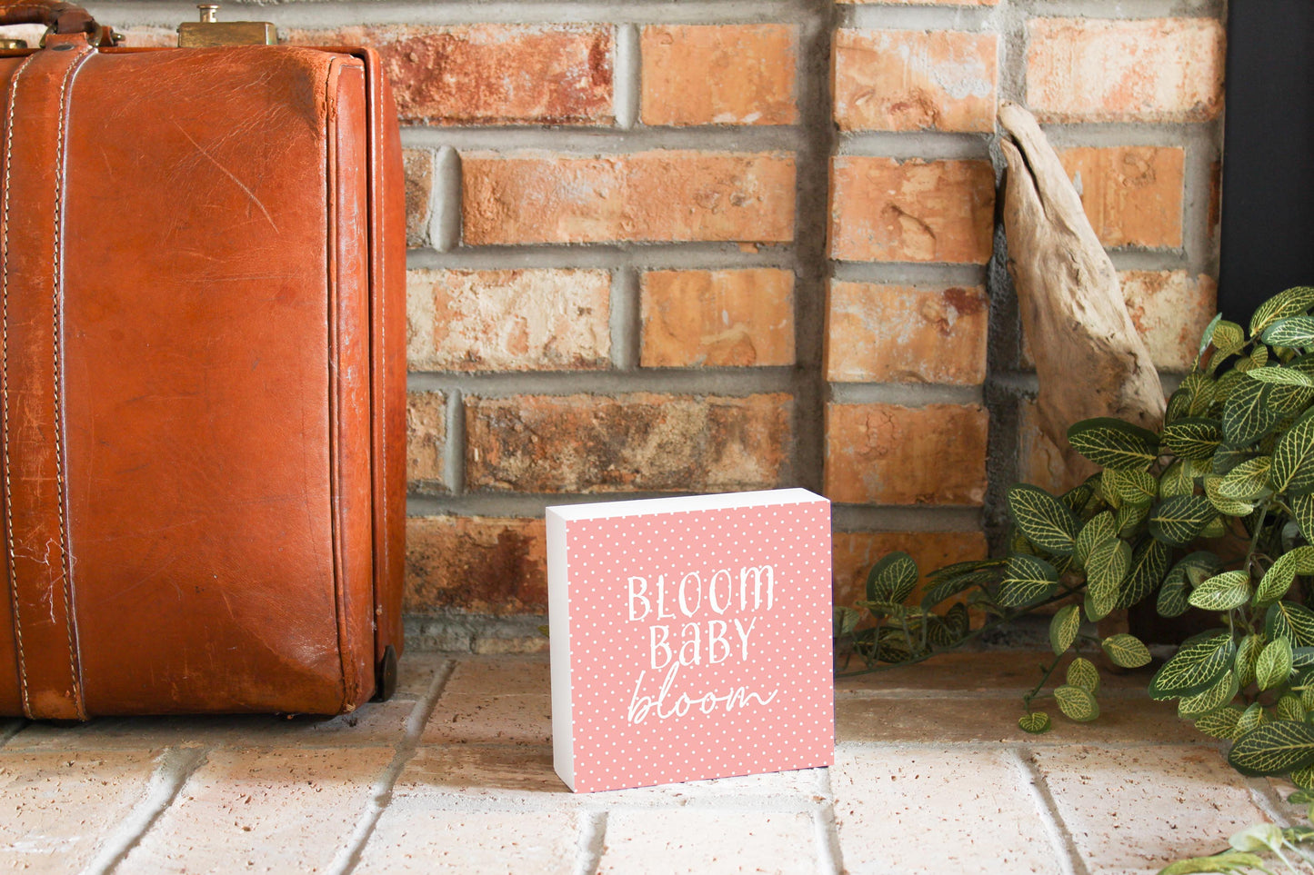 Spring Pastel Bloom Baby Bloom | 5x5