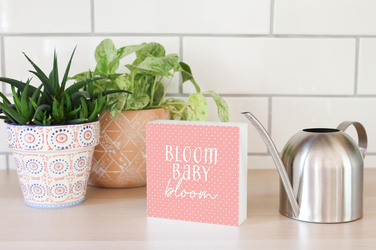 Spring Pastel Bloom Baby Bloom | 5x5